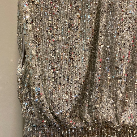 Blouson Silver Sequin Midi Dress; Sleeveless; Evening or Wedding; 8 Petite - Picture 12 of 15
